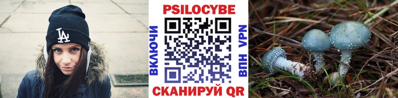 Галлюциногенные грибы мицелий  Благовещенск 