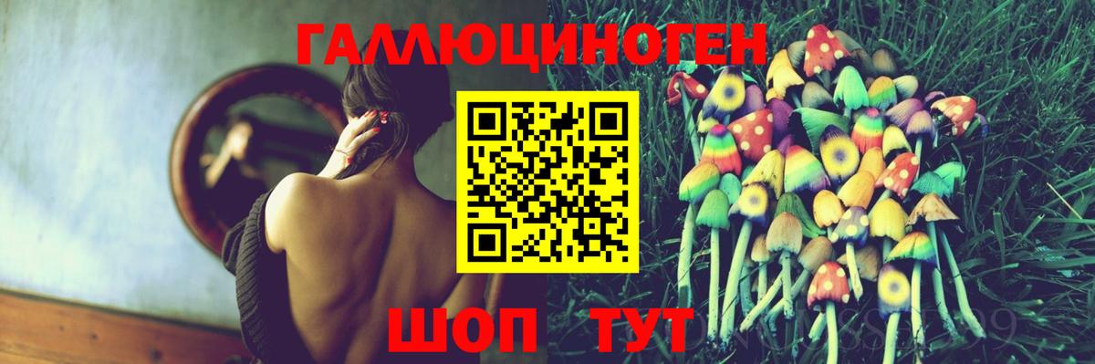 Псилоцибиновые грибы GOLDEN TEACHER  Благовещенск  Псилоцибиновые грибы прущие грибы 