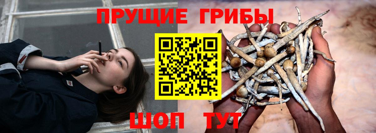 Галлюциногенные грибы мицелий  Галлюциногенные грибы мицелий  Вход с VPN  Благовещенск 